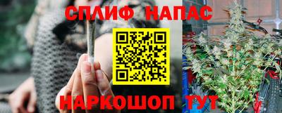дмт Донской