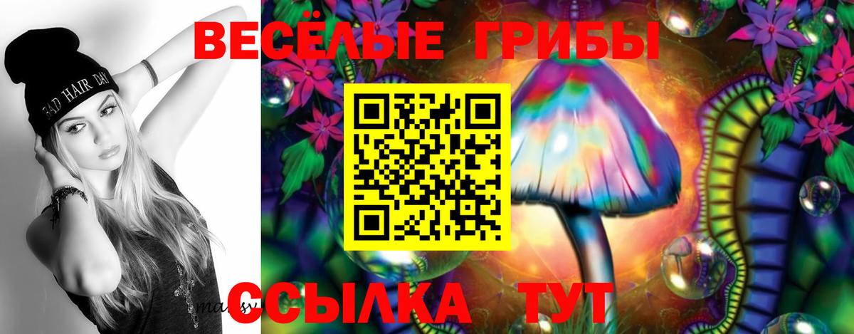 Псилоцибиновые грибы мицелий  Вход с VPN  Лыткарино 